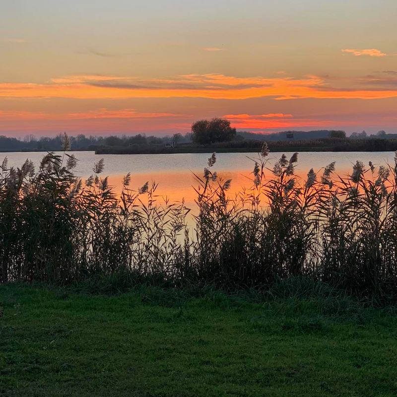 farma i ribnjak salas stankovic secanj