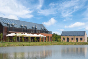 salas u banatu vojvodini